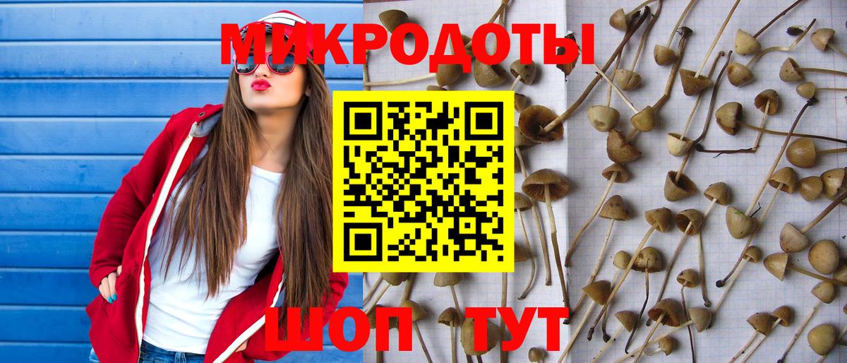 Псилоцибиновые грибы Magic Shrooms Муравленко